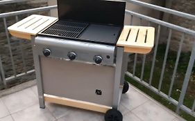 CHE F3 gauche Terrasse jardin barbecue hypercentre wifi